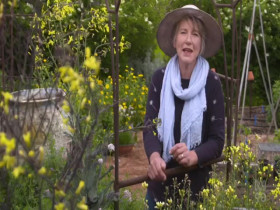 Gardening Australia S33E32 480p x264-mSD EZTV