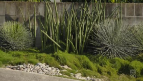 Gardening Australia S33E33 XviD-AFG EZTV