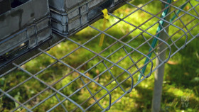 Gardening Australia S34E12 1080p HDTV H264-CBFM EZTV