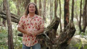 Gardening Australia S35E17 XviD-AFG EZTV