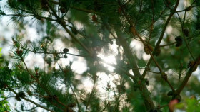 George Clarkes Amazing Spaces S12E03 XviD-AFG EZTV