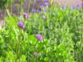 George Clarkes National Trust Unlocked S01E04 480p x264-mSD EZTV