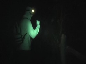 Ghost Adventures S21E06 Haunted Hollow Forest 480p x264-mSD EZTV