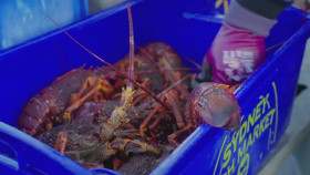 Giant Lobster Hunters S04E01 WEB-DL x264-NGP EZTV