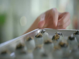 Girl Meets Farm S10E01 Winter Spa Day 480p x264-mSD EZTV