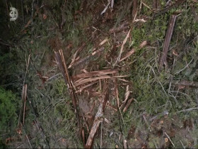 Gogglebox S24E13 480p x264-mSD EZTV