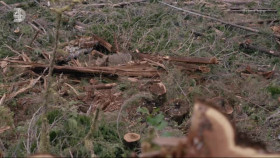 Gogglebox S24E13 XviD-AFG EZTV