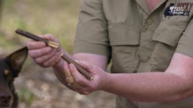 Going Places With Ernie Dingo S04E11 1080p HDTV H264-CBFM EZTV