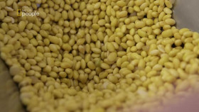 Goks Chinese Takeaway S01E02 XviD-AFG EZTV