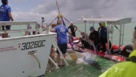Gold Coast Ocean Rescue S01E09 1080p HDTV H264-CBFM EZTV
