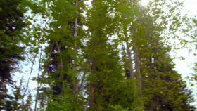 Gold Rush Mine Rescue with Freddy and Juan S04E03 720p HEVC x265-MeGusta EZTV