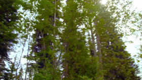 Gold Rush Mine Rescue with Freddy and Juan S04E03 Bust or Gold Boom 1080p AMZN WEB-DL DDP2 0 H 264-NTb EZTV