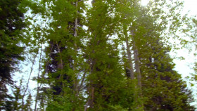 Gold Rush Mine Rescue with Freddy and Juan S04E03 Bust or Gold Boom 720p AMZN WEB-DL DDP2 0 H 264-NTb EZTV