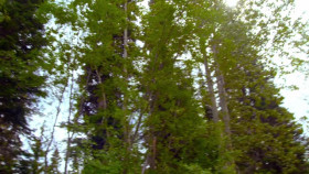 Gold Rush Mine Rescue with Freddy and Juan S04E03 XviD-AFG EZTV