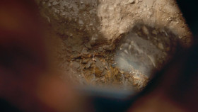 Gold Rush S15E06 1080p WEB h264-FREQUENCY EZTV