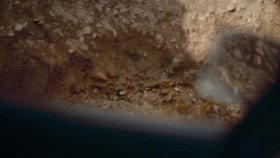 Gold Rush S15E06 XviD-AFG EZTV