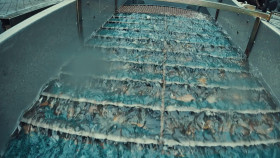 Gold Rush White Water S06E16 1080p WEB H264-SPAMnEGGS EZTV