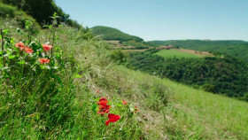 Gordon Gino and Fred Road Trip S03E03 Gordon Ramsays Road Trip European Vacation 720p WEB h264-WEBTUBE EZTV