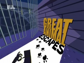 Great Animal Escapes S01E06 480p x264-mSD EZTV