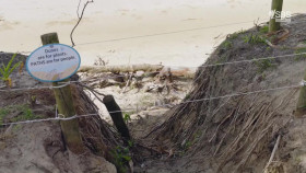 Great Australian Walks With Julia Zemiro S01E08 1080p HDTV H264-CBFM EZTV