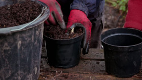 Great British Gardens with Carol Klein S02E07 1080p HEVC x265-MeGusta EZTV