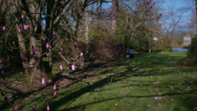 Great British Gardens with Carol Klein S02E08 1080p HEVC x265-MeGusta EZTV