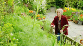 Great British Gardens with Carol Klein S02E09 1080p HDTV H264-DARKFLiX EZTV