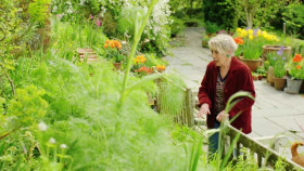 Great British Gardens with Carol Klein S02E09 XviD-AFG EZTV