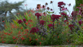 Great British Railway Journeys S12E13 720p HEVC x265-MeGusta EZTV