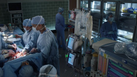 Greys Anatomy S18E13 1080p WEB h264-GOSSIP EZTV