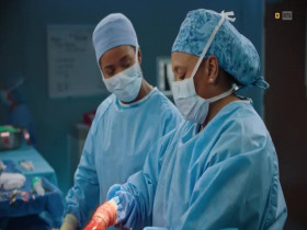 Greys Anatomy S20E08 MULTi 480p x264-mSD EZTV
