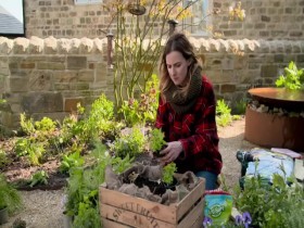 Grow Your Own At Home With Alan Titchmarsh S01E01 480p x264-mSD EZTV