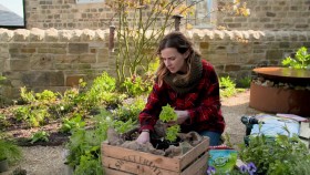 Grow Your Own At Home With Alan Titchmarsh S01E01 720p WEB-DL h264 EZTV