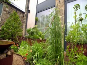 Grow Your Own at Home with Alan Titchmarsh S01E06 480p x264-mSD EZTV