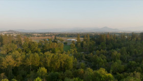 Growing Belushi S03E05 1080p HEVC x265-MeGusta EZTV