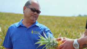 Guy Hawaiian Style S01E01 Aloha Hawaii 720p WEBRip x264-KOMPOST EZTV