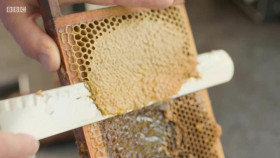 Hairy Bikers Go North S01E04 North Yorkshire XviD-AFG EZTV