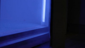 Hard Knocks 2001 S24E03 XviD-AFG EZTV