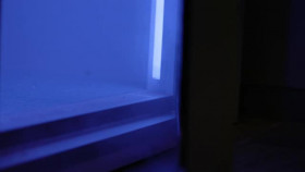 Hard Knocks In Season With the AFC North S01E03 XviD-AFG EZTV