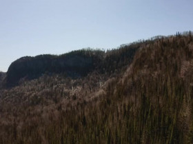 Hard Truths of Conservation S01E01 480p x264-mSD EZTV