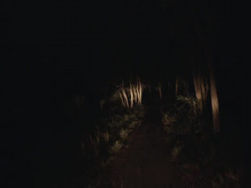 Hard Truths of Conservation S01E03 480p x264-mSD EZTV