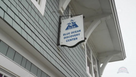 Harlem Globetrotters Play It Forward S03E02 720p WEB h264-DiRT EZTV