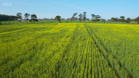 Harvest 2015 S01E03 The West 1080p WEBRip x264-CBFM EZTV