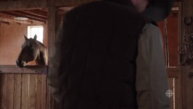 Heartland CA S09E14 720p HDTV x264-KILLERS EZTV