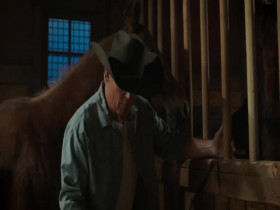 Heartland CA S18E03 REPACK 480p x264-mSD EZTV