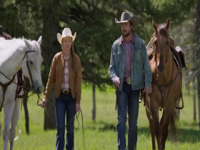 Heartland CA S18E04 480p x264-mSD EZTV