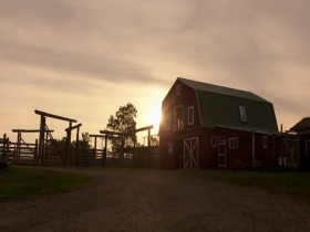 Heartland CA S18E10 480p x264-mSD EZTV