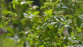 Heated S02E01 1080p WEB H264-CBFM EZTV