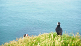 Heated S02E06 1080p WEB H264-CBFM EZTV