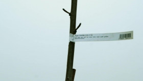 Help We Bought A Village S03E19 1080p WEB H264-CBFM EZTV